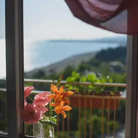 Guest House Arlen Tsandrypsh Εξωτερικό φωτογραφία